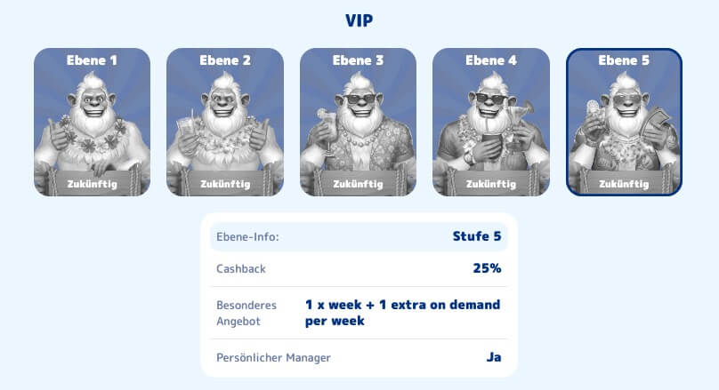 CasinoJoy vip program