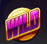 Super Flip Wild
