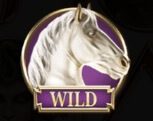 Divine Fortune Wild Symbol
