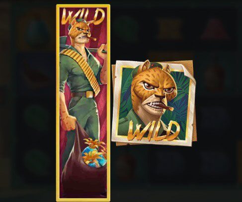 Iron Bank Wild Symbols
