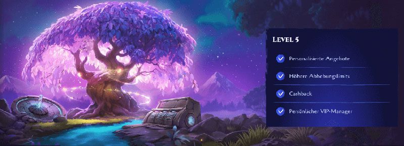 spinight vip program