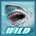 Wild Water Wild