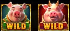 Greedy Fortune Pig Wilds