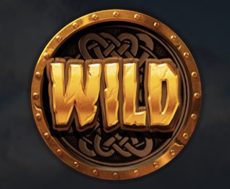 Vikings Go Berzerk Wild