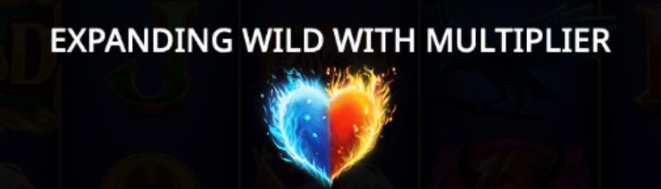 Agel vs Sinner Expanding Wild