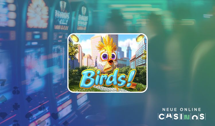 NEUE Birds!