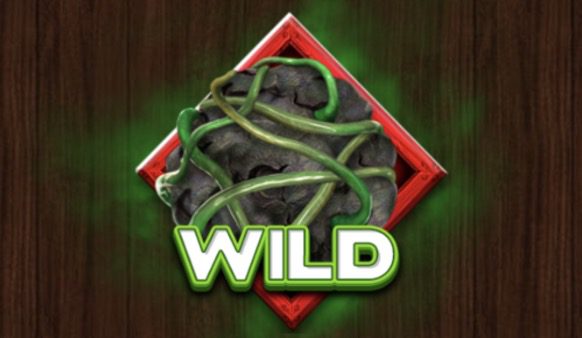 Back to Venus Wild